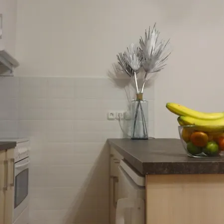 Gere Modern Apartament *