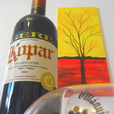 Gere Modern 아파트