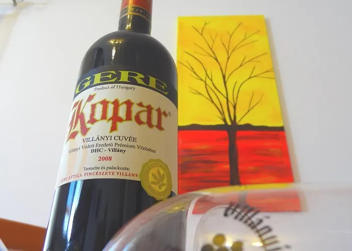 Gere Modern דירה